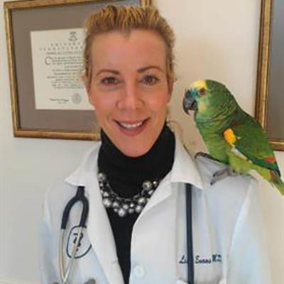 lisa-evans-skippack-animal-hospital lisa-evans-skippack-animal-hospital