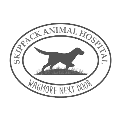 skippack-animal-hospital-logo-socializon-client